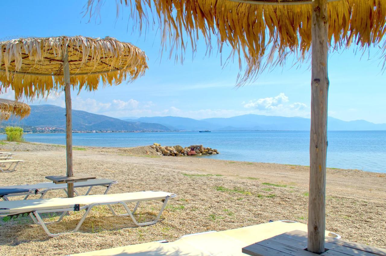 Epipleon Luxury Suites - 107 - Διαμέρισμα 85Τμ - Θέα Στη Θάλασσα 纳弗帕克托斯 外观 照片